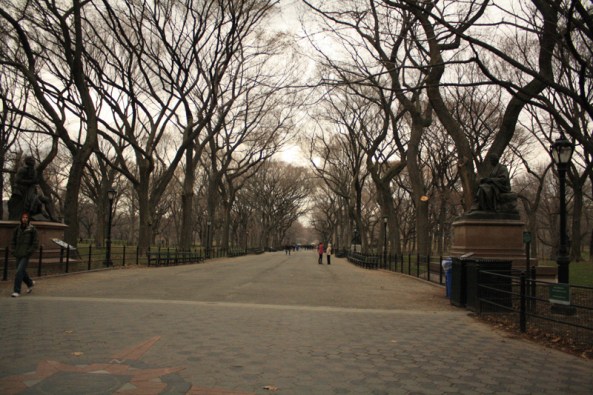 The Mall, Central Park, New York, NY., 15th March 2011. © J. Lynn Stapleton