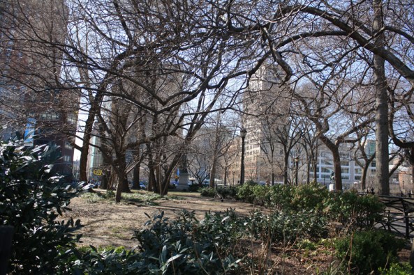 Union Square Park,  New York, NY., 12th March 2011. © J. Lynn Stapleton
