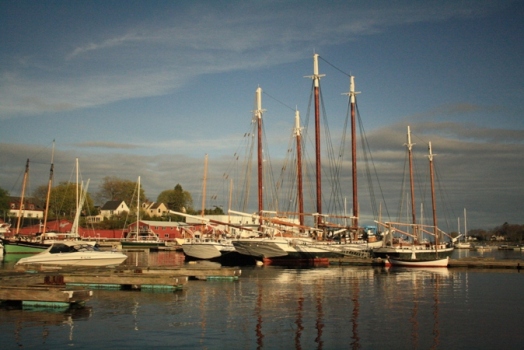 Tall ship schooners Merchantile (left) and Grace Bailey (right), Camden, ME. © J. Lynn Stapleton