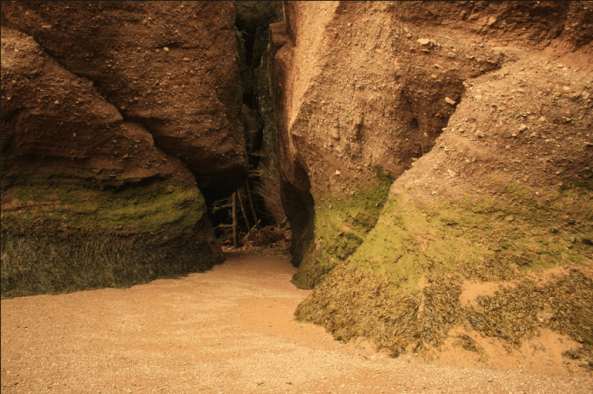 Hopewell Rocks, 9th August 2011, © J. Lynn Stapleton