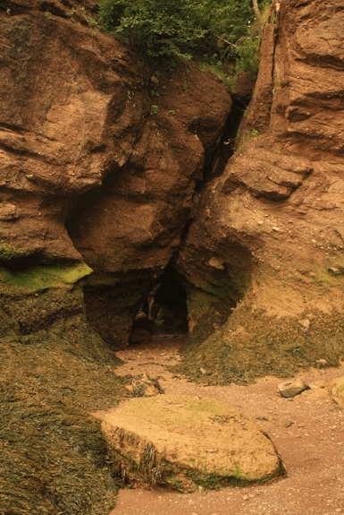 Hopewell Rocks, 9th August 2011, © J. Lynn Stapleton