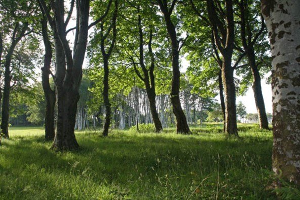 Path to Lewis Castle, Stornoway, Isle of Lewis. © J. Lynn Stapleton, 31st July 2013