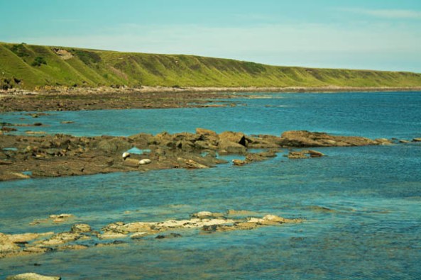 Seals on the Rocks, Gill's Bay, Highland, Scotland, UK. © J. Lynn Stapleton, 29th July 2013