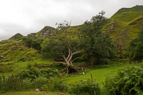 Faerie Glen, Isle of Skye. © J. Lynn Stapleton, 3rd August 2013