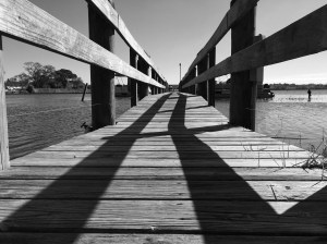 Lake Seminole, Largo, FL. Taken 18th February 2015 with iPhone 5s. Edited with Snapseed and SKRWT.