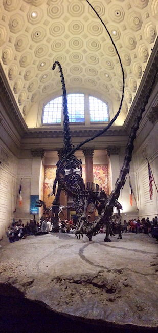 Photo © J. Lynn Stapleton, 7th November 2015.