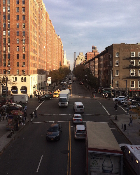 Photo © J. Lynn Stapleton, 6th November 2015.