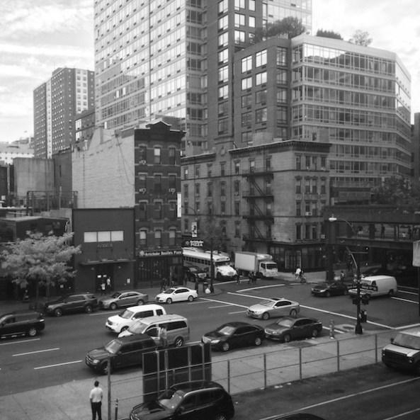 Photo © J. Lynn Stapleton, 6th November 2015.